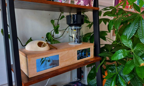 Helping small brands get noticed online and offline